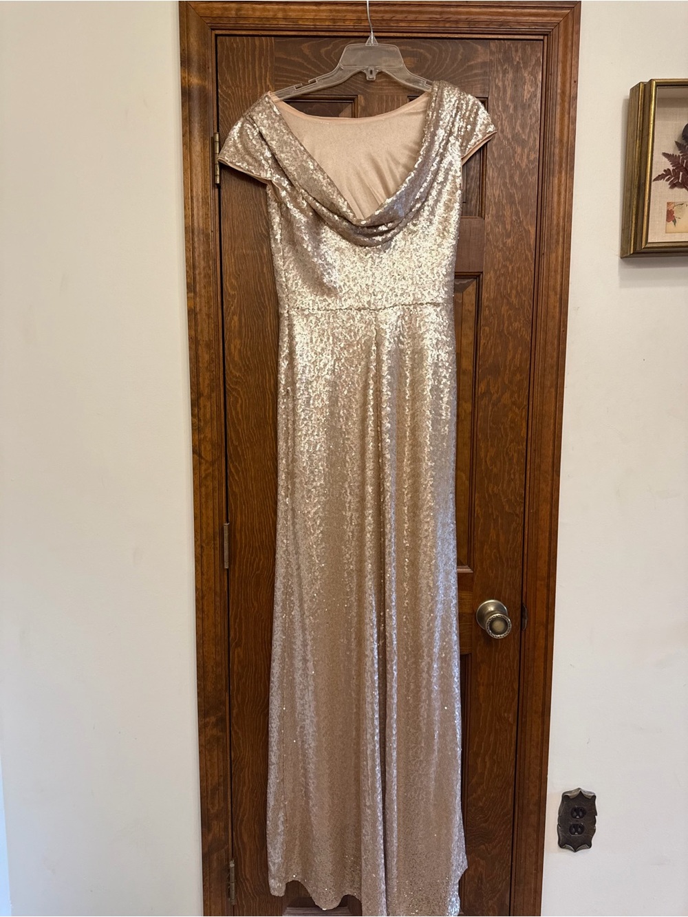 Sequin Cap-Sleeve Evening Gown in Champagne